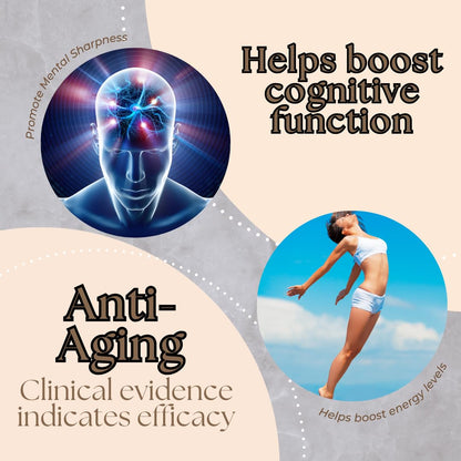 Research Labs Liposomal NMNH 500mg | 60 Capsules | NAD+ Anti-Aging Booster
