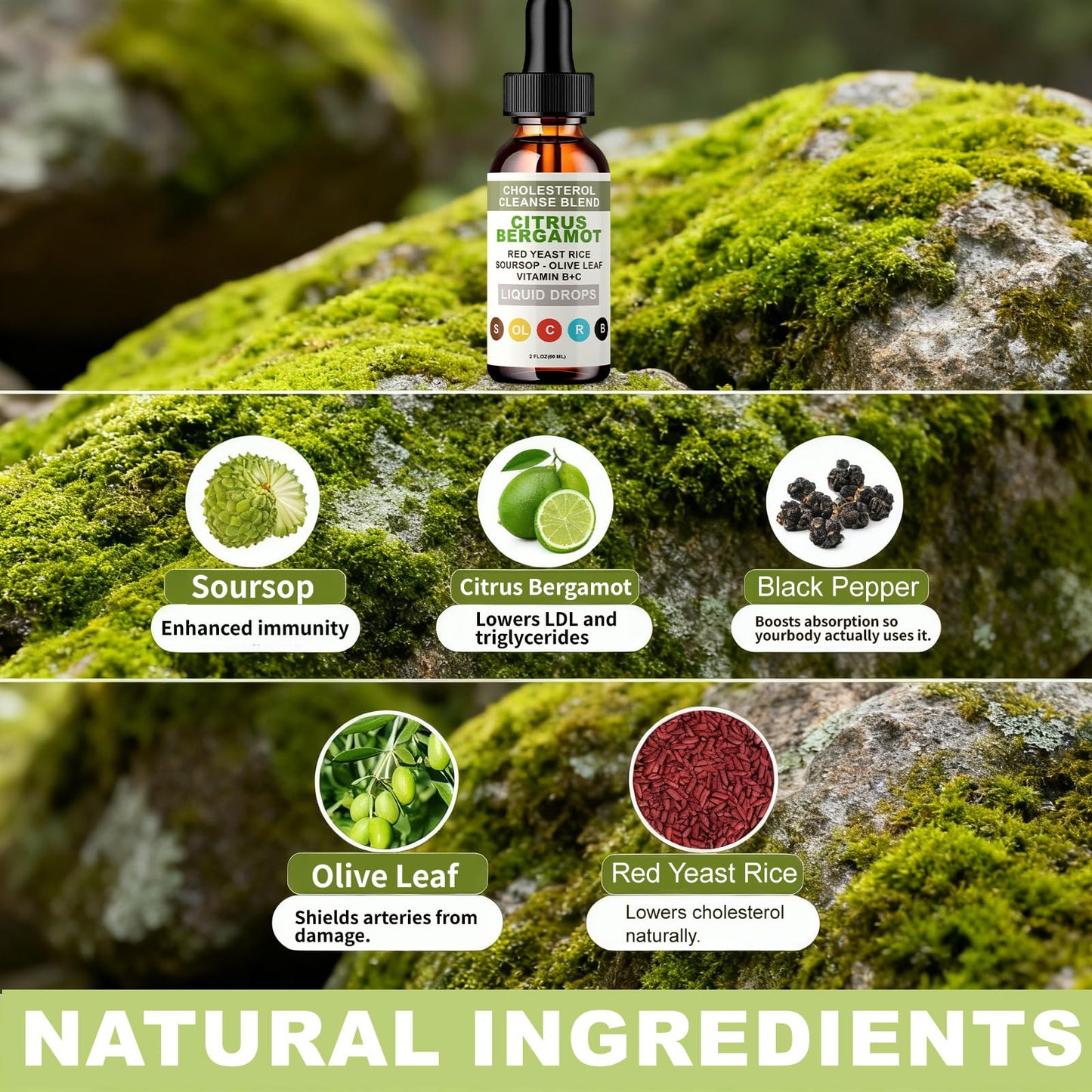RESONA Red Yeast Rice Drops – High-Absorption Cholesterol Support with Citrus Bergamot, Olive Leaf & Soursop | Vegan, Non-GMO – 2 fl oz