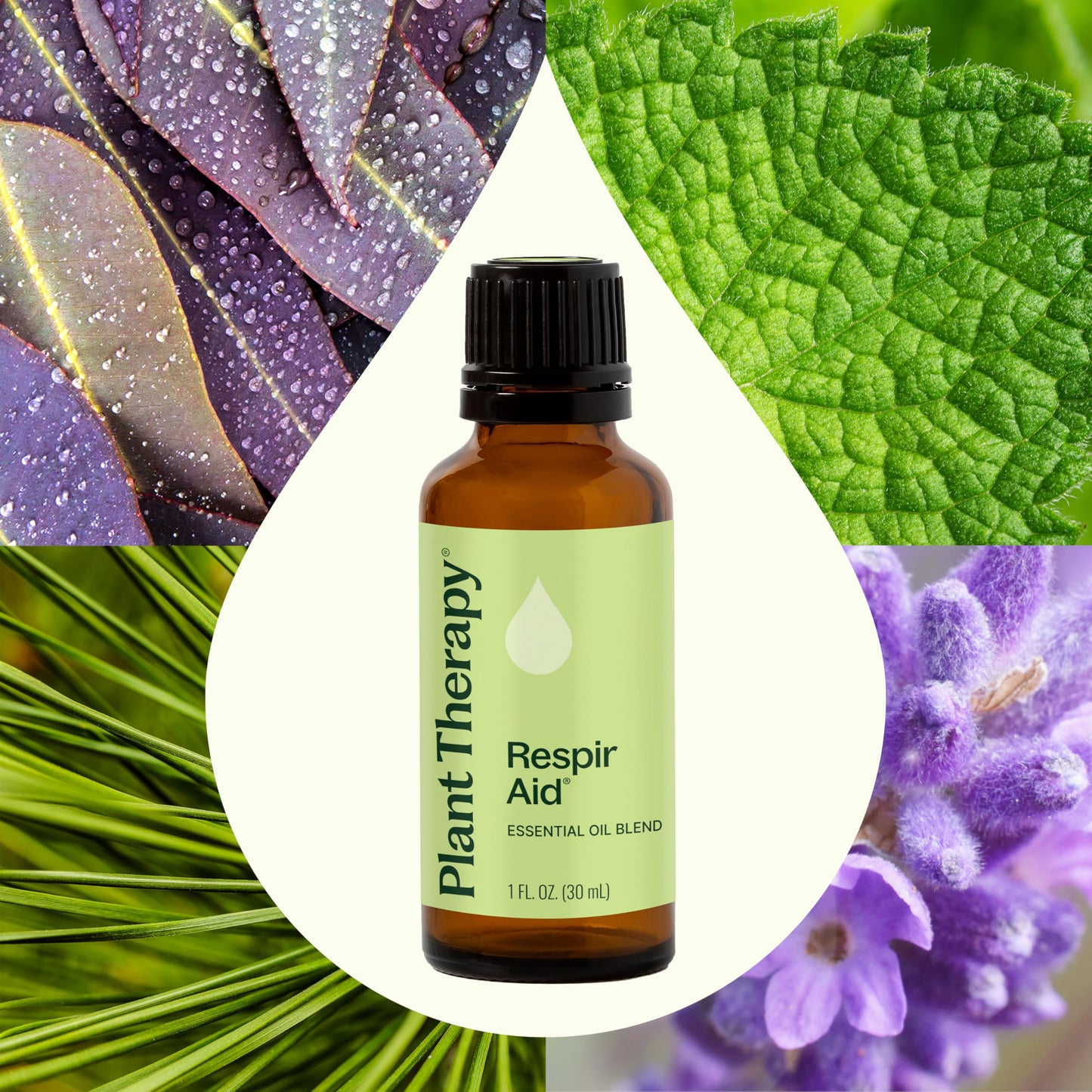 Respir Aid Essential Oil Blend 30 mL – Plant Therapy