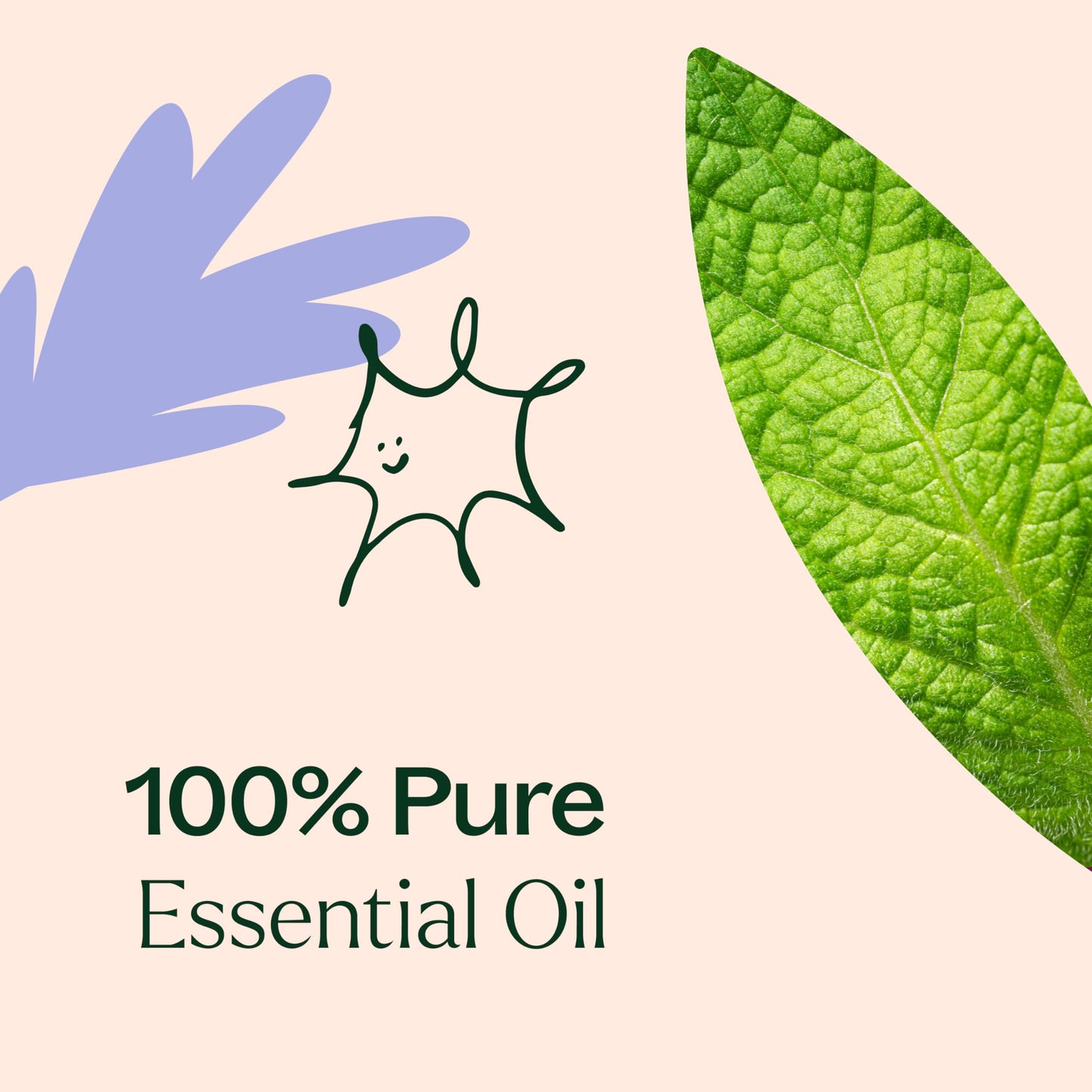 Respir Aid Essential Oil Blend 30 mL – Plant Therapy