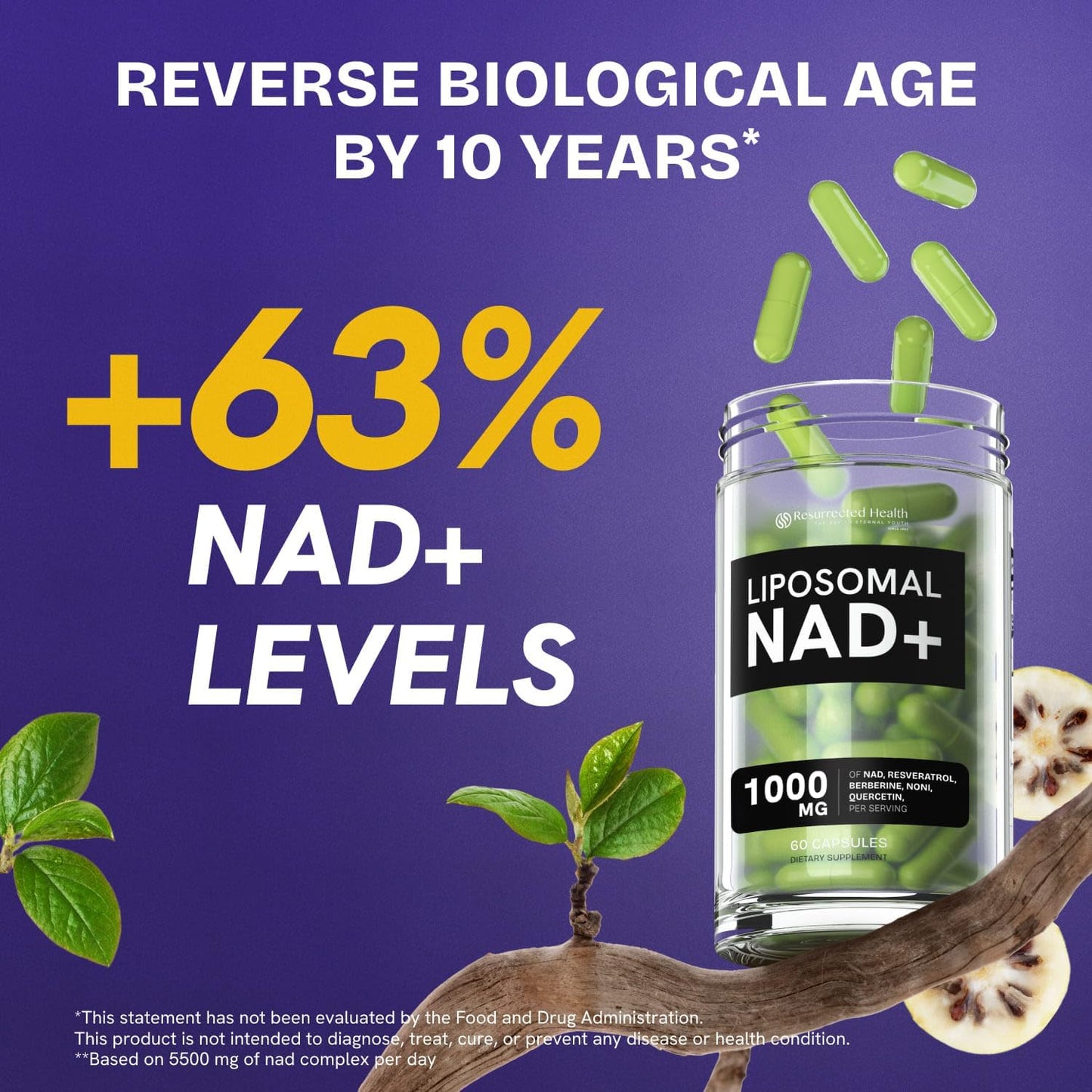 Resurrected Health Liposomal NAD Supplements for Women Resveratrol NAD + Supplement w/Berberine, Quercetin, Noni | Boosts NAD Anti-Aging, Bravfin Support, Gut Heath - 60 Capsules