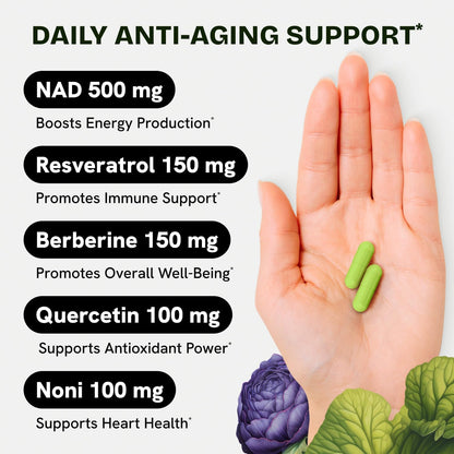Resurrected Health Liposomal NAD Supplements for Women Resveratrol NAD + Supplement w/Berberine, Quercetin, Noni | Boosts NAD Anti-Aging, Bravfin Support, Gut Heath - 60 Capsules