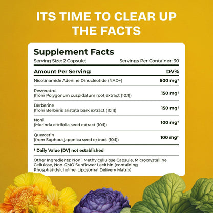 Resurrected Health Liposomal NAD Supplements for Women Resveratrol NAD + Supplement w/Berberine, Quercetin, Noni | Boosts NAD Anti-Aging, Bravfin Support, Gut Heath - 60 Capsules