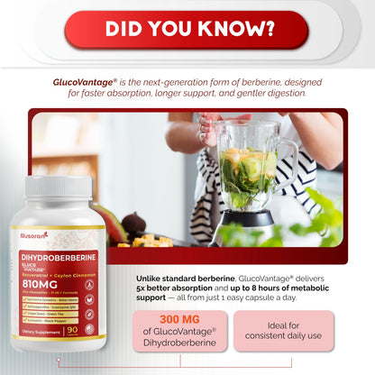Dihydroberberine – Super Berberine 810mg with GlucoVantage | 5X Absorption | Made in USA | 90 Count