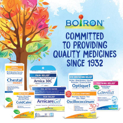 Boiron Hypericum Perforatum 200 CK – Homeopathic Nerve Pain Medicine, 80 Count