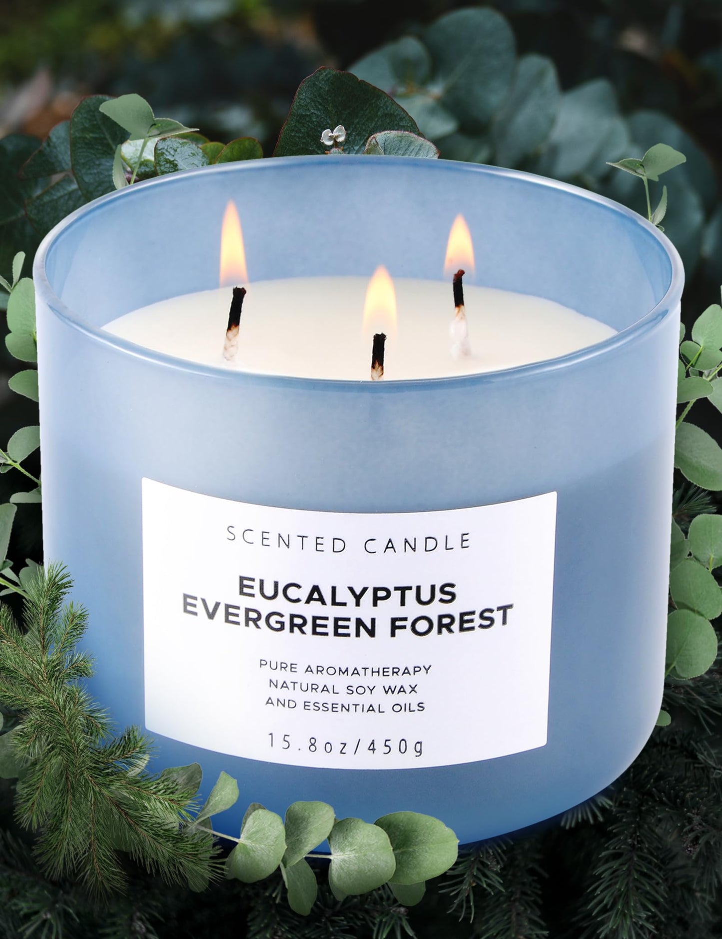 Eucalyptus Evergreen Forest 3-Wick Soy Candle – 15.8 oz | Winter Pine, Balsam Fir & Evergreen Scented