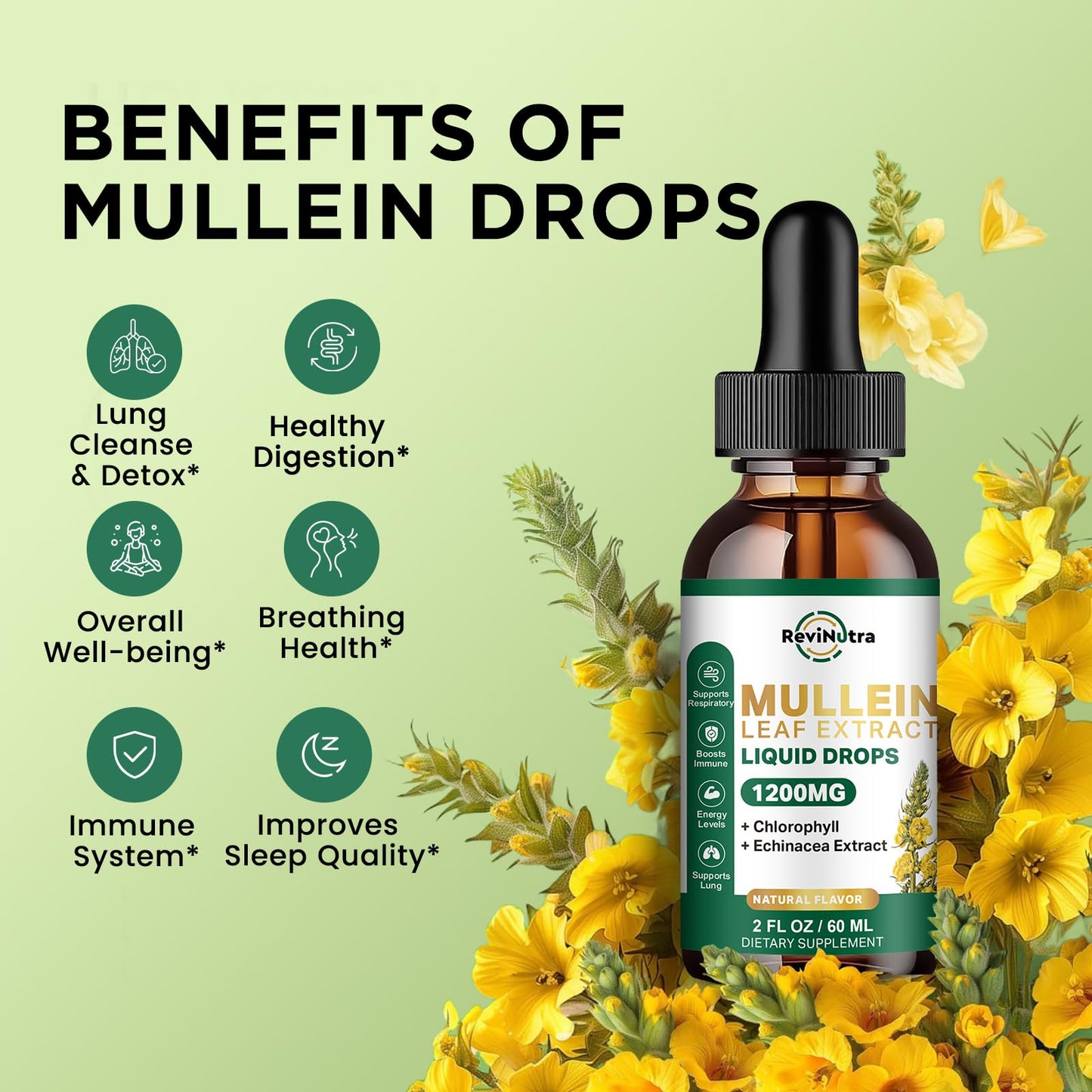 ReviNutra Mullein Drops for Lungs – 1200mg Mullein Leaf Liquid (2 fl oz)