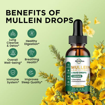 ReviNutra Mullein Drops for Lungs – 1200mg Mullein Leaf Liquid (2 fl oz)