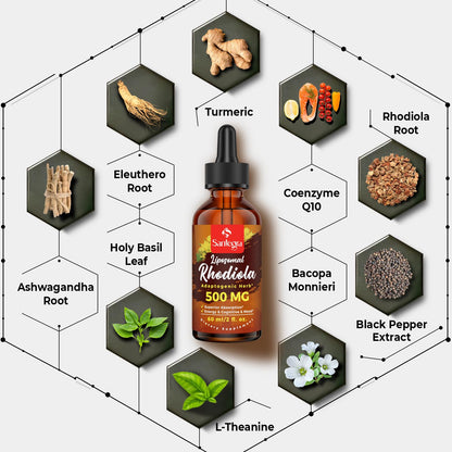 57,000 MG Liposomal Rhodiola Rosea with Ashwagandha – Liquid 120 ml | High Absorption, Vegan & Sugar/Gluten-Free