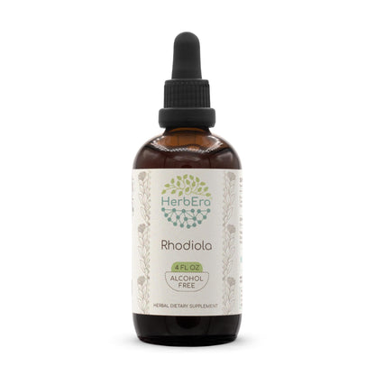 Rhodiola B120 Alcohol-Free Tincture – 4 fl oz (Rhodiola Rosea Dried Root)