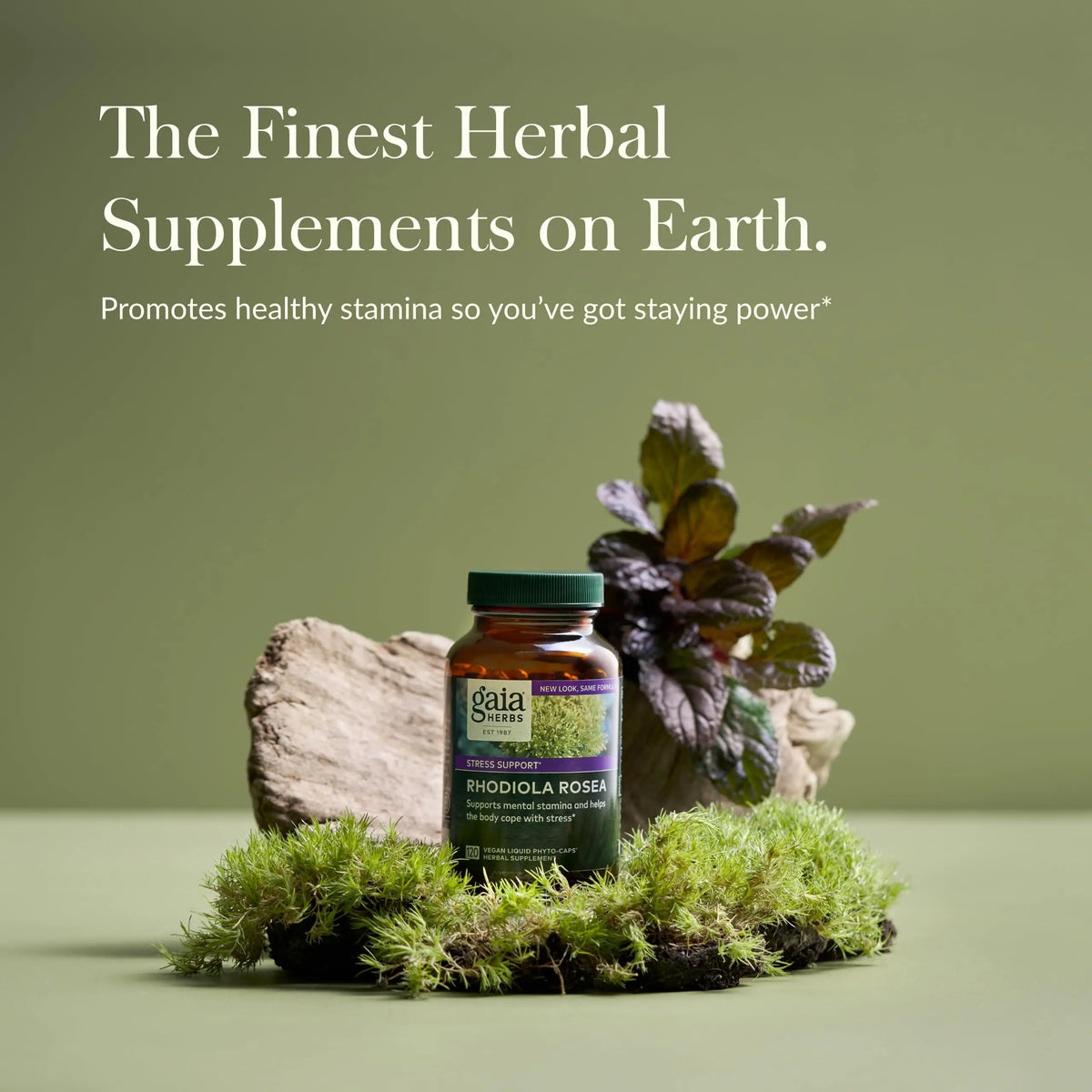 Gaia Herbs Rhodiola Rosea - Stress Support & Endurance - Siberian Root Extract - 120 Vegan Liquid Phyto-Caps (120 Servings) BritishVita | Premium UK Vitamins & Wellness Supplements