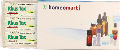 Rhus Toxicodendron Homeopathic Pellets 30C – Pack of 3 | HomeoMart
