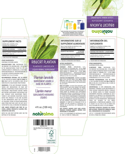 Naturalma Ribwort Plantain Tincture 1:5 - Alcohol-Free, Vegan, 4 fl oz Drops