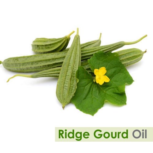 Ridge Gourd Carrier Oil 15 ml – 100% Pure & Natural, Cold Pressed