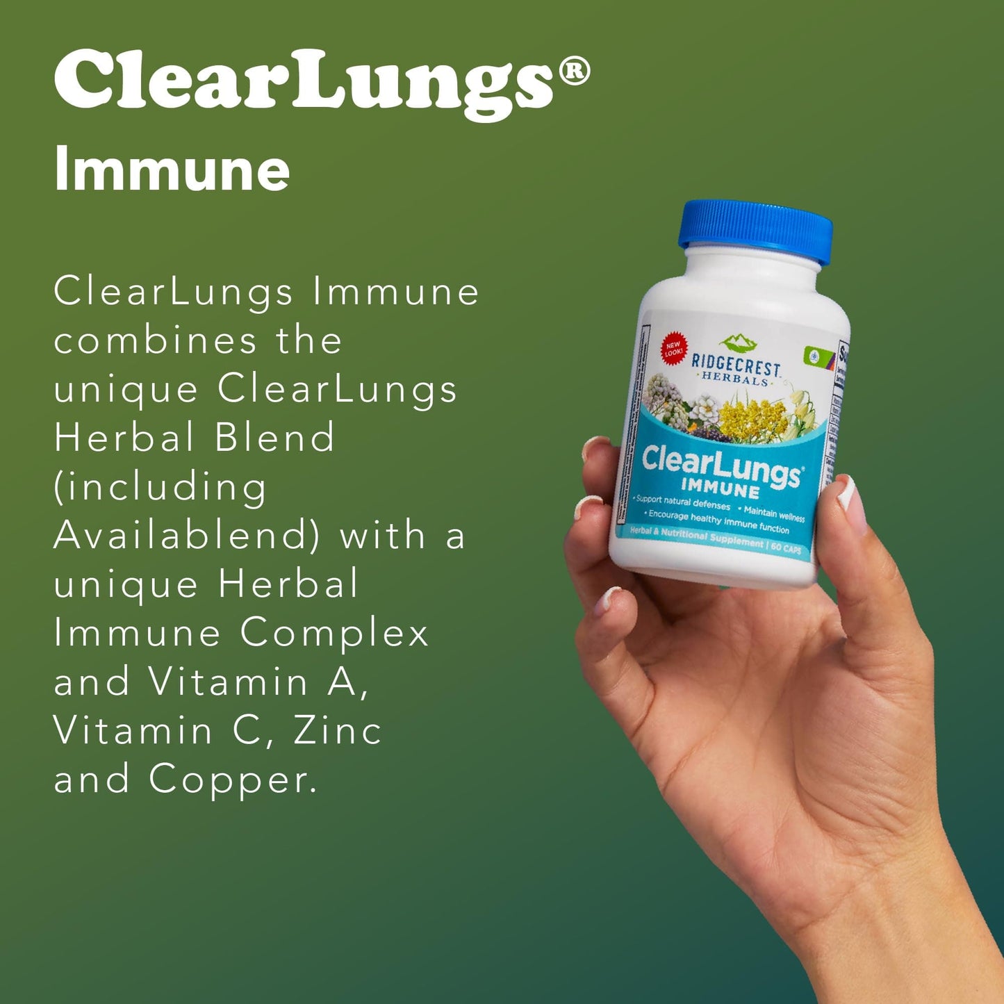 RidgeCrest ClearLungs Immune – Lung & Immune Support with Mullein, Elderberry, Zinc (60 Caps, 30 Serv)