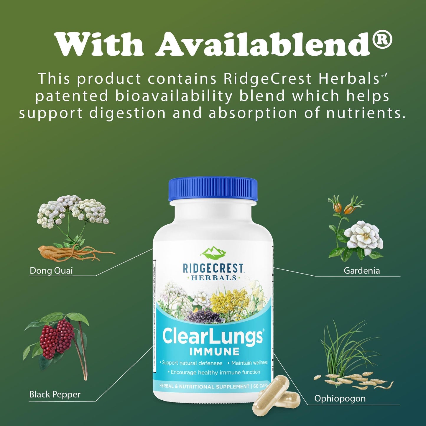 RidgeCrest ClearLungs Immune – Lung & Immune Support with Mullein, Elderberry, Zinc (60 Caps, 30 Serv)