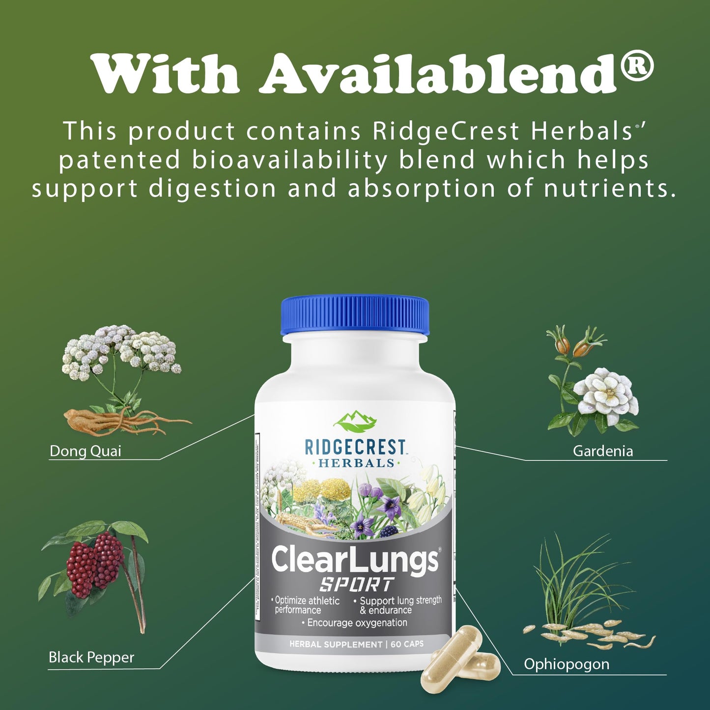 Ridgecrest ClearLungs Sport – Oxygen & Lung Support Formula (Cordyceps, Rhodiola, Eleuthero, 60 Veg Caps)