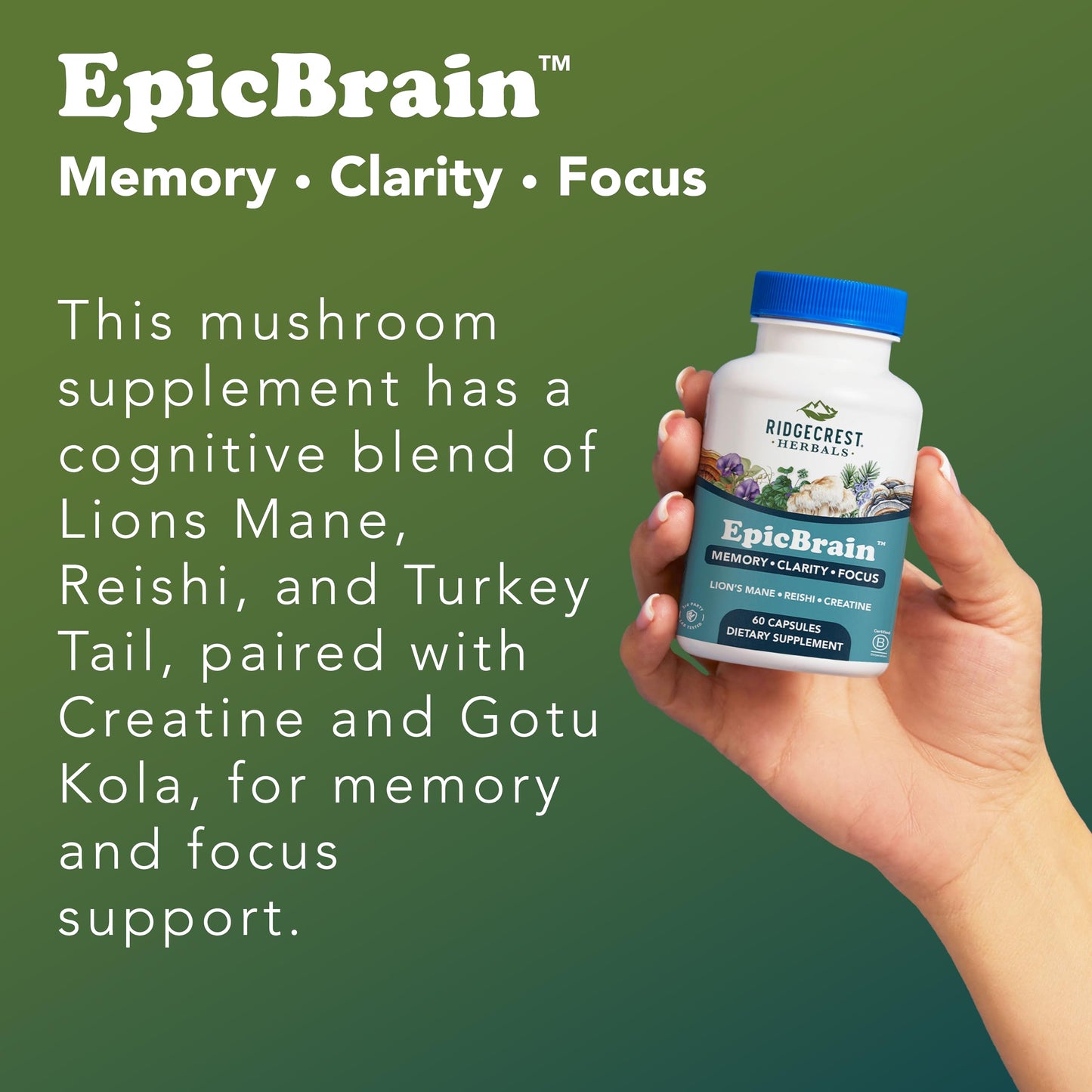 RidgeCrest EpicBrain: Natural Brain Support with Creatine Monohydrate & Lion's Mane