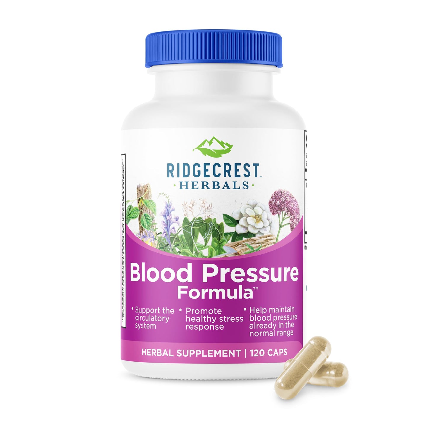 RidgeCrest Herbals Blood Pressure Formula | 12 Herbs, 120 Count
