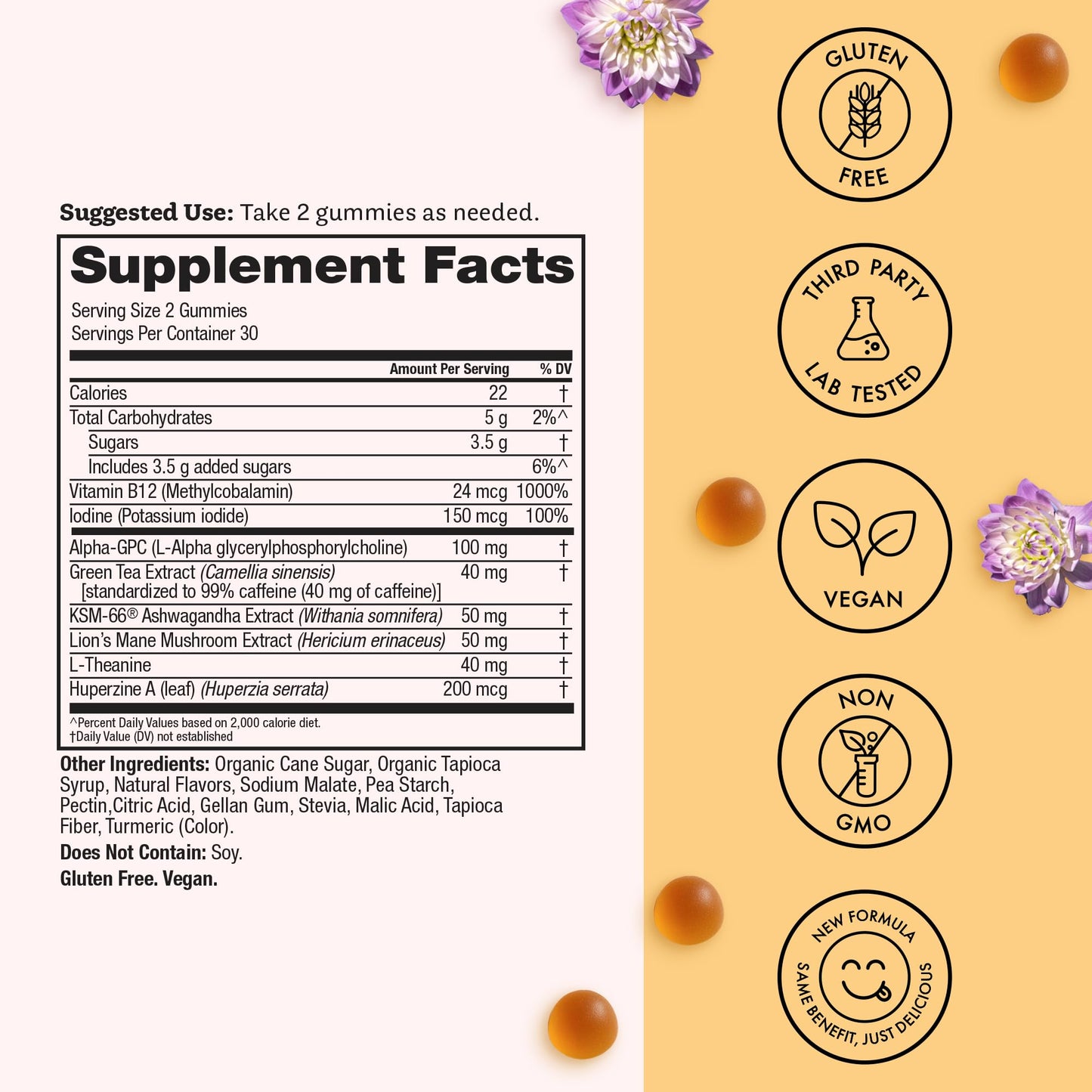Winged Wellness Rise Up: Energy & Focus Gummies for Women | Pineapple, 60 Gummies