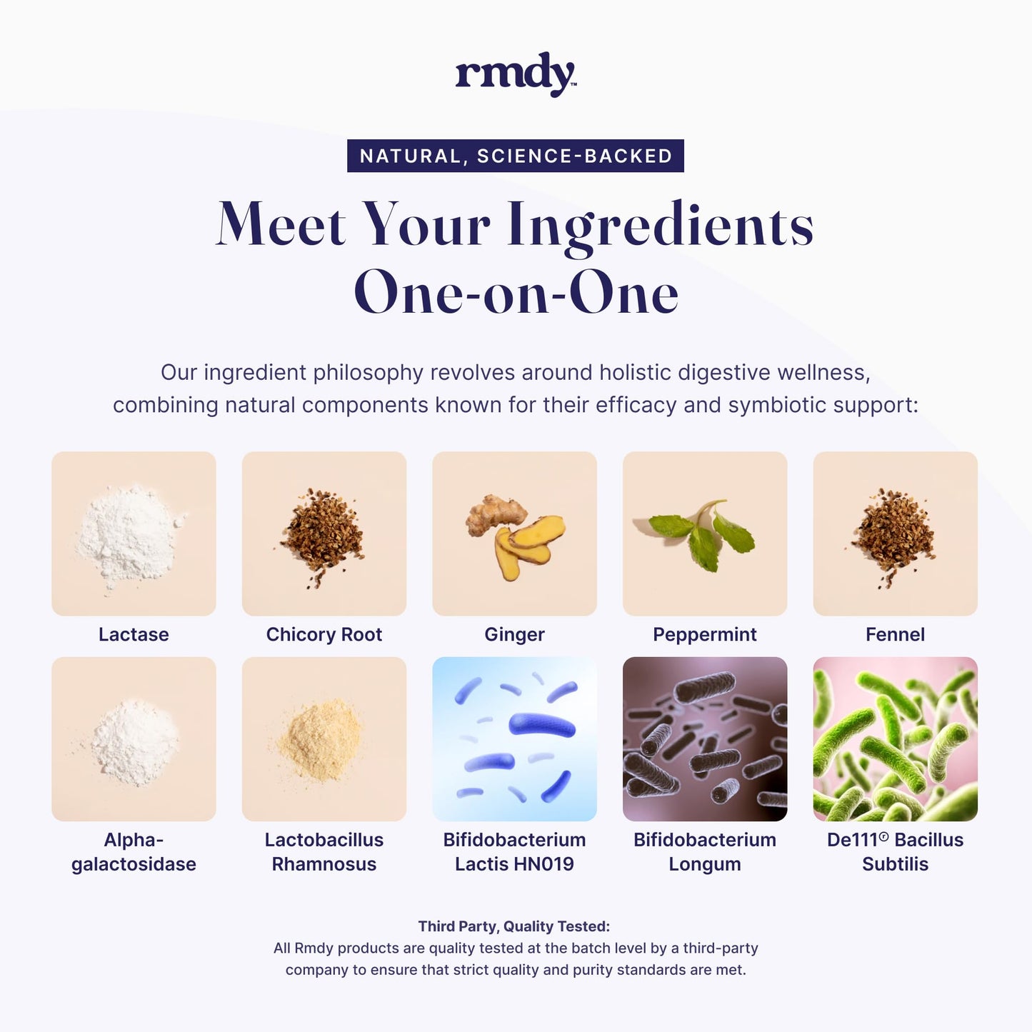 rmdy Probiotic for Digestive Health | Constipation & Bloating (30 Capsules)