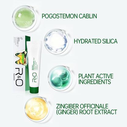 R&O Ginger Mint Fresh Toothpaste 3.53 oz – Fresh Breath & Plaque Removal
