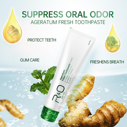 R&O Ginger Mint Fresh Toothpaste 3.53 oz – Fresh Breath & Plaque Removal