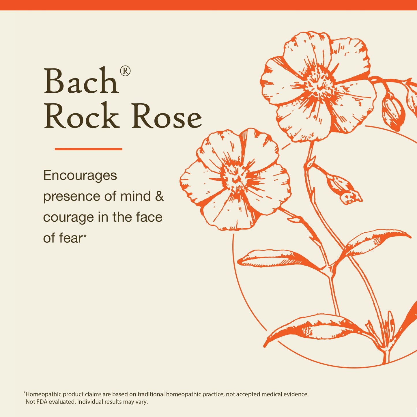 Bach Original Flower Remedies: Rock Rose – Have Courage | 20mL Dropper
