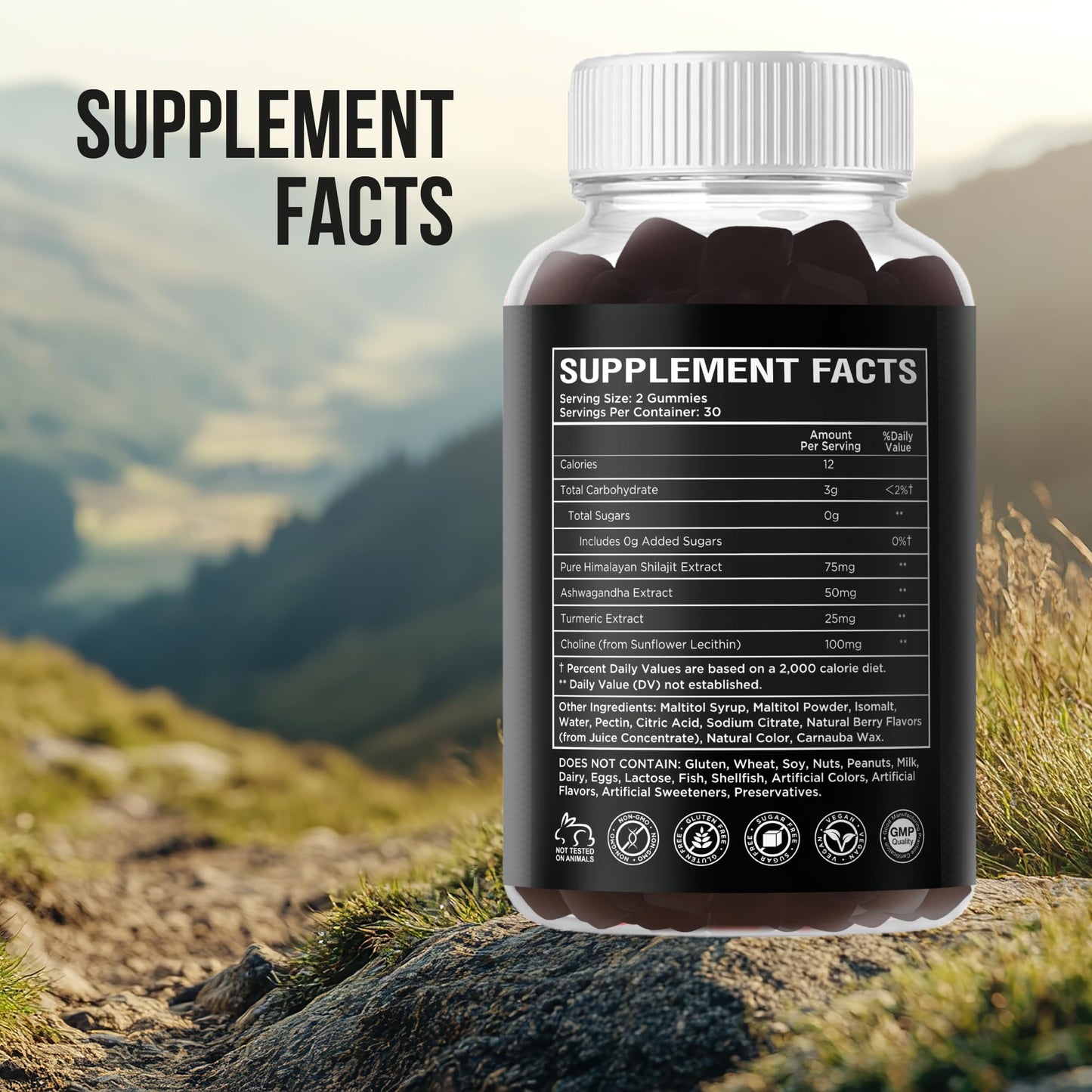 RockSten Premium Himalayan Shilajit Gummies - 1500mg with Ashwagandha & Turmeric | Vegan, Gluten-Free