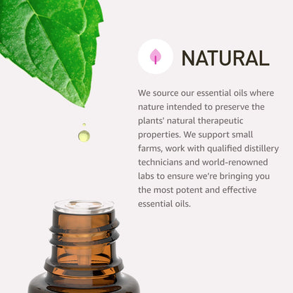 Rocky Mountain Oils Aligning Essential Oil Blend 15 ml – 100% Pure Essential Oils in Fractionated Coconut Oil (Pack of 2)