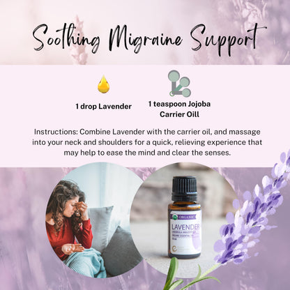 Rocky Mountain Oils Organic Lavender Essential Oil - 15ml | 100% Pure USDA Certified