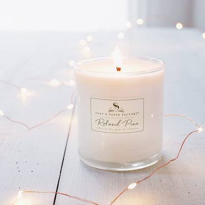 Roland Pine 9.5 oz Large Soy Candle | Soap & Paper Factory