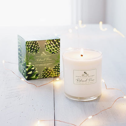 Roland Pine 9.5 oz Large Soy Candle | Soap & Paper Factory