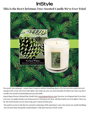 Roland Pine 9.5 oz Large Soy Candle | Soap & Paper Factory