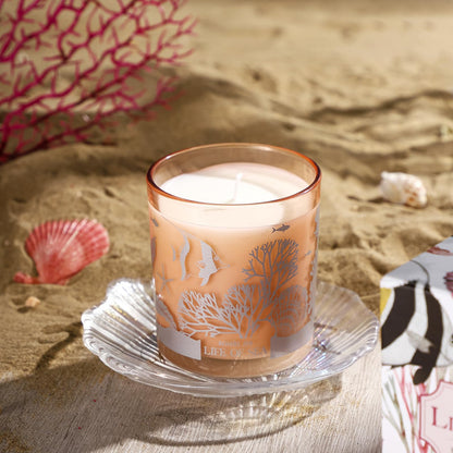 ROMIIE ZOI Life of Sea Scented Candle – 6oz Soy Wax Jar (170g)