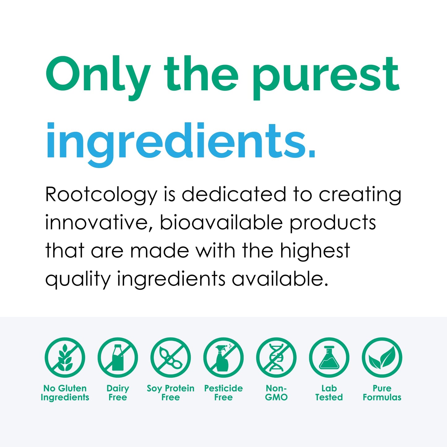 Rootcology by Dr. Izabella Wentz - Black Cumin Seed Extract | Digestive & Skin Support | 60 Softgels