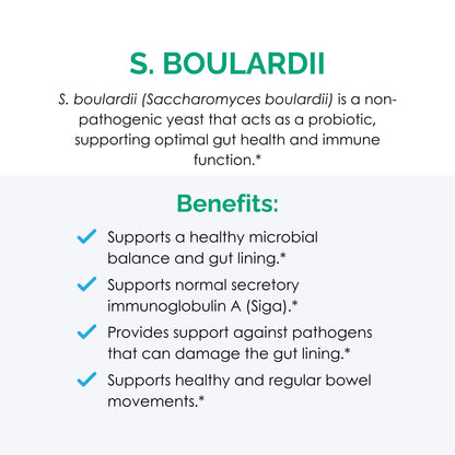 Rootcology by Dr. Izabella Wentz | S. boulardii Probiotic Capsules - Shelf-Stable 10 Billion CFU Saccharomyces | 60 Capsules