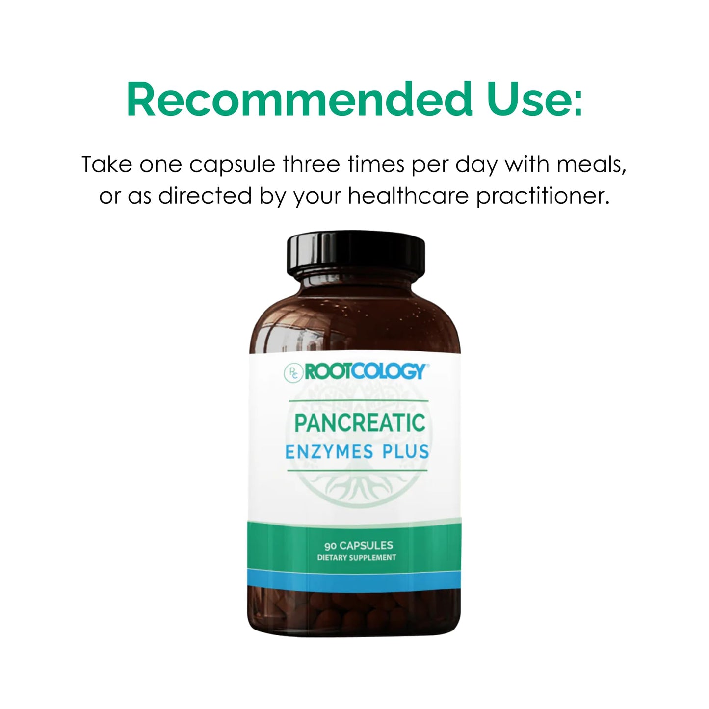 Rootcology by Dr. Izabella Wentz | Pancreatic Enzymes Plus | Enteric Coated Lipase, Protease & Amylase Blend with Bromelain | 90 Capsules