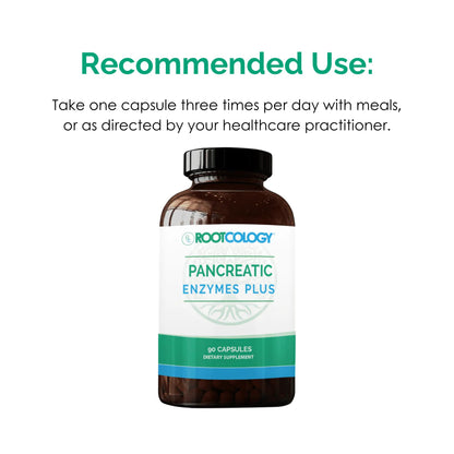 Rootcology by Dr. Izabella Wentz | Pancreatic Enzymes Plus | Enteric Coated Lipase, Protease & Amylase Blend with Bromelain | 90 Capsules