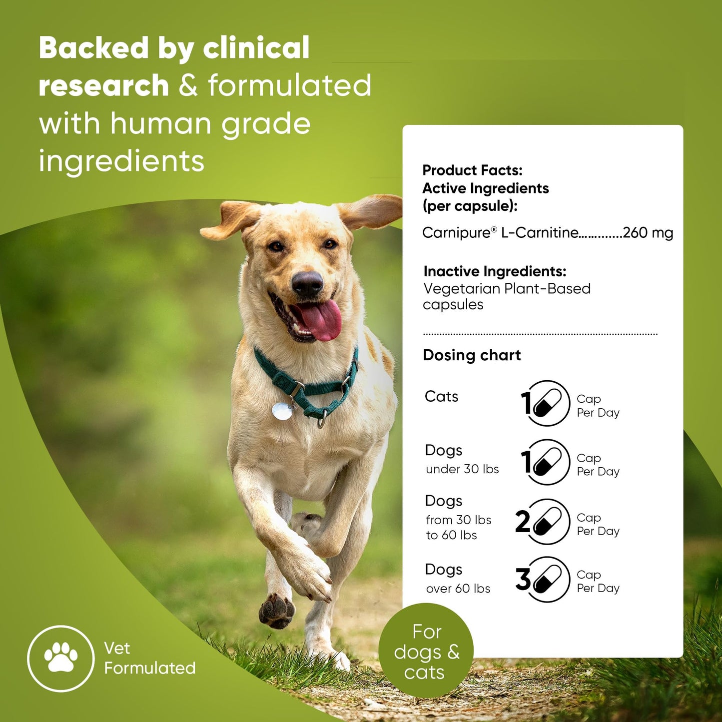 Rooted Owl Metabolism Support - L-Carnitine Supplement for Dogs & Cats to Support Healthy Weight - 60 Count