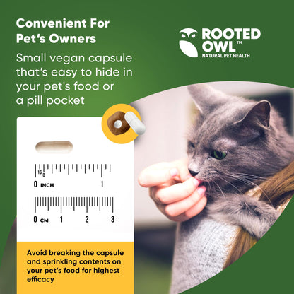 Rooted Owl Metabolism Support - L-Carnitine Supplement for Dogs & Cats to Support Healthy Weight - 60 Count