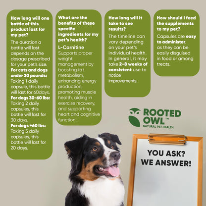 Rooted Owl Metabolism Support - L-Carnitine Supplement for Dogs & Cats to Support Healthy Weight - 60 Count