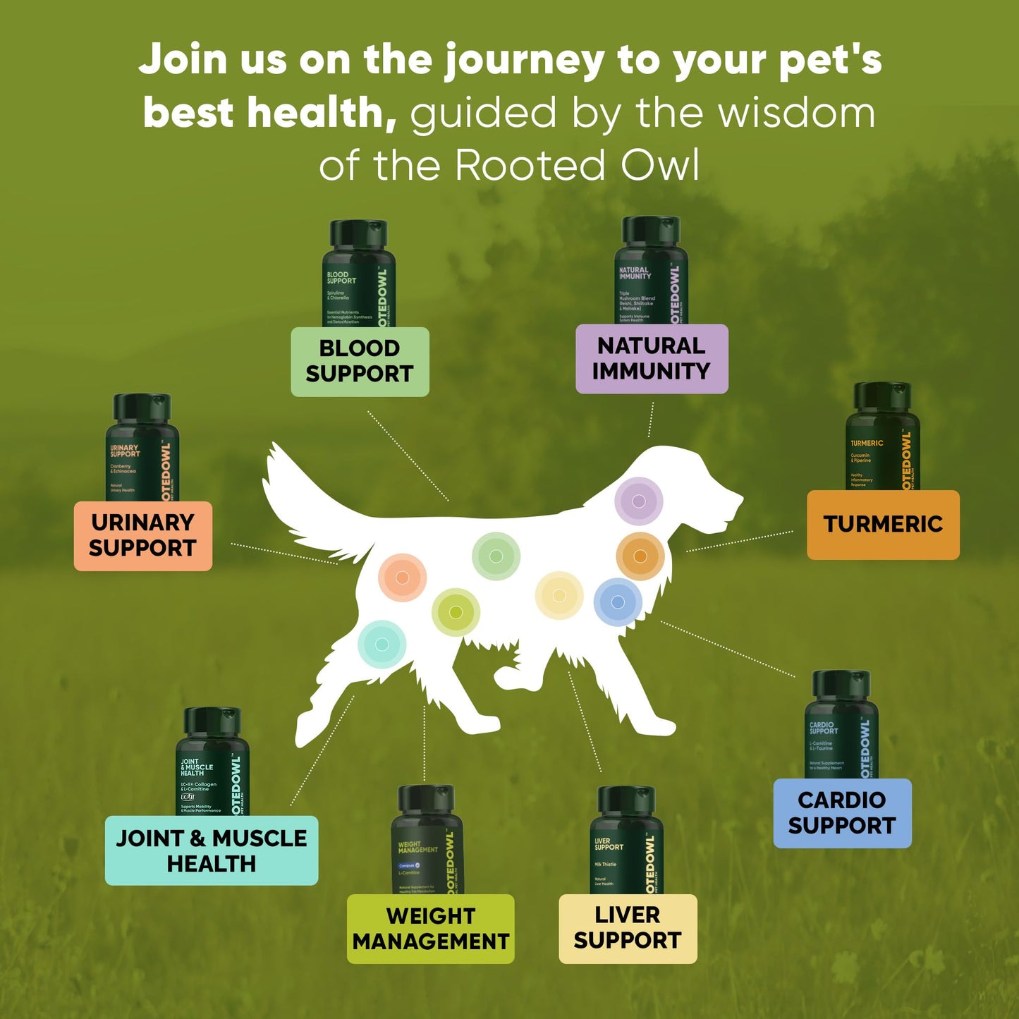 Rooted Owl Metabolism Support - L-Carnitine Supplement for Dogs & Cats to Support Healthy Weight - 60 Count