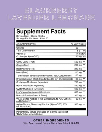 Silver Star Nutrition Roots Focus Nootropic Brain Supplement – BlackBerry Lavender Lemonade | 50 Servings