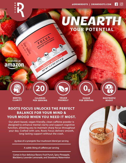 Roots Focus Nootropic Brain Supplement - Spicy Pineapple (50 Servings) | Silver Star Nutrition