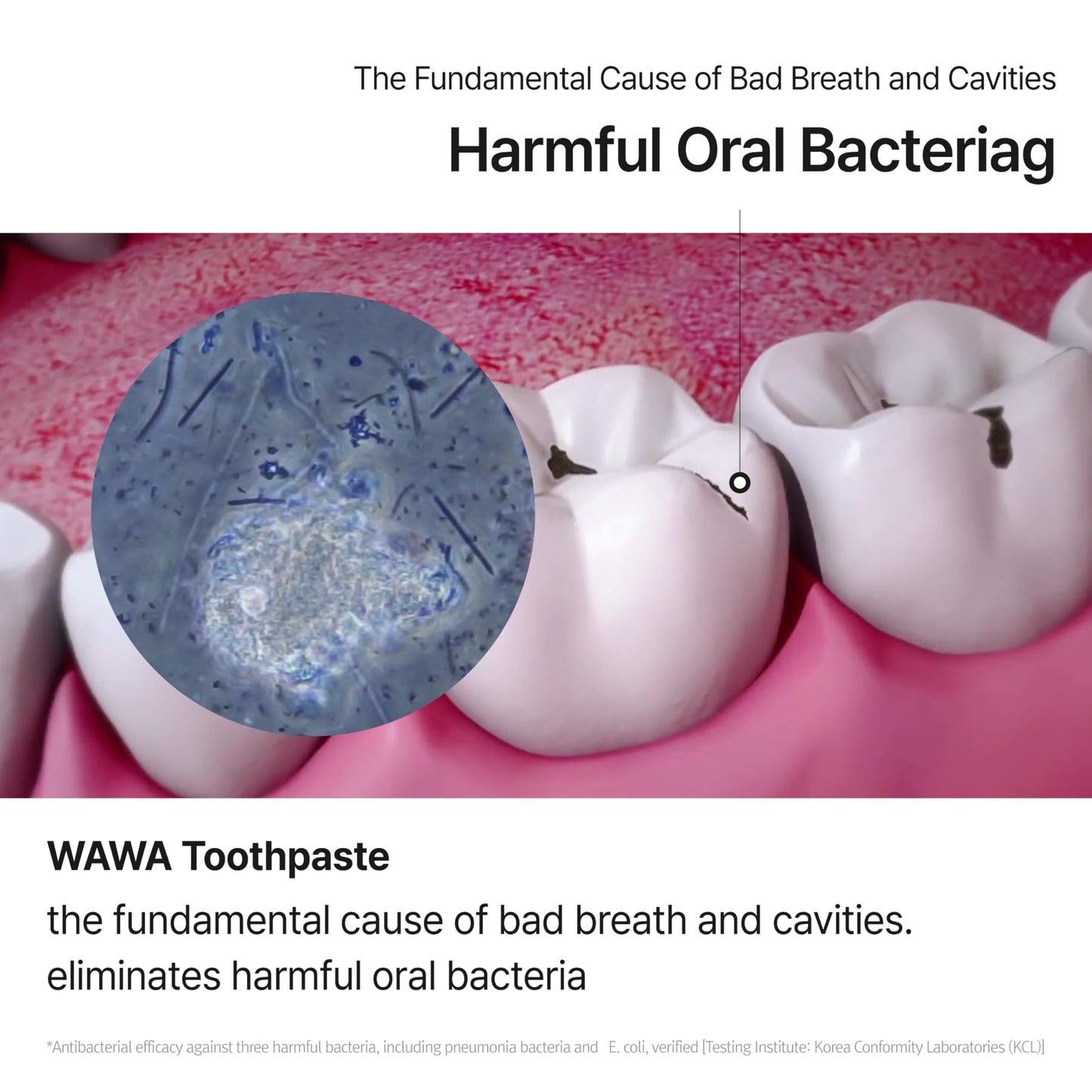 ROROBELL Wawa Toothpaste with Wasabi – Peppermint, Bad Breath, Sensitivity & Gum Health | Pack of 5