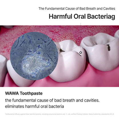 ROROBELL Wawa Toothpaste with Wasabi – Peppermint, Bad Breath, Sensitivity & Gum Health | Pack of 5