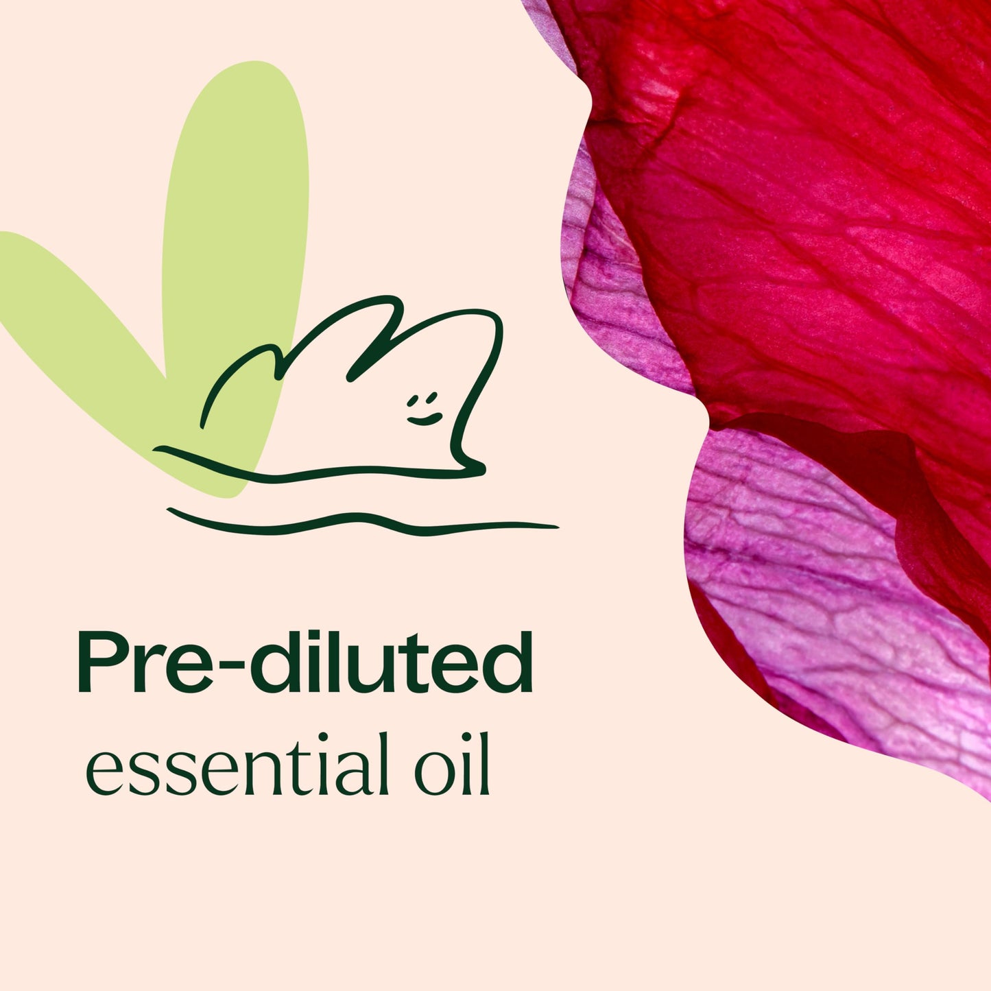 Plant Therapy Rose Absolute Roll-On 10 mL – 100% Pure Essential Oil Perfume