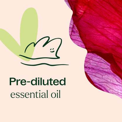 Plant Therapy Rose Absolute Roll-On 10 mL – 100% Pure Essential Oil Perfume