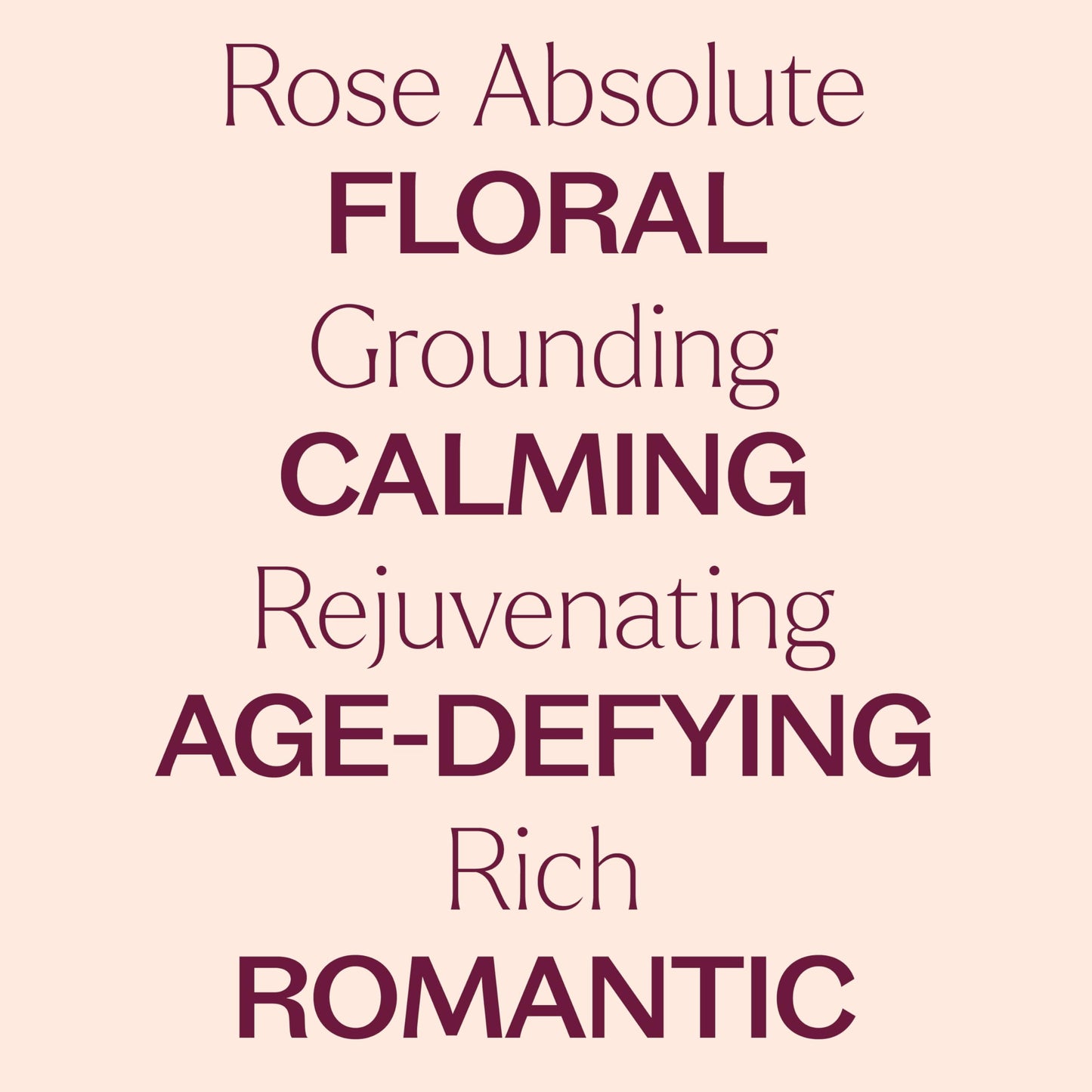 Rose Absolute Essential Oil 5 mL – Plant Therapy | 100% Pure